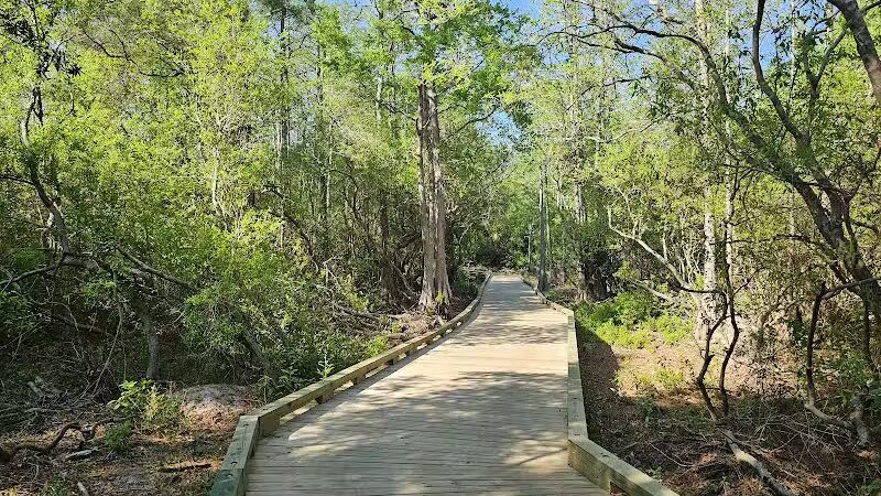 Hanover Pines Nature Park - Wilmington, NC