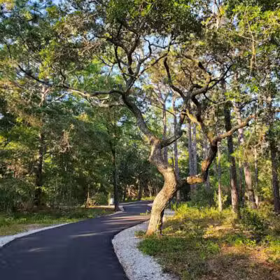 Hanover Pines Nature Park - Wilmington, NC