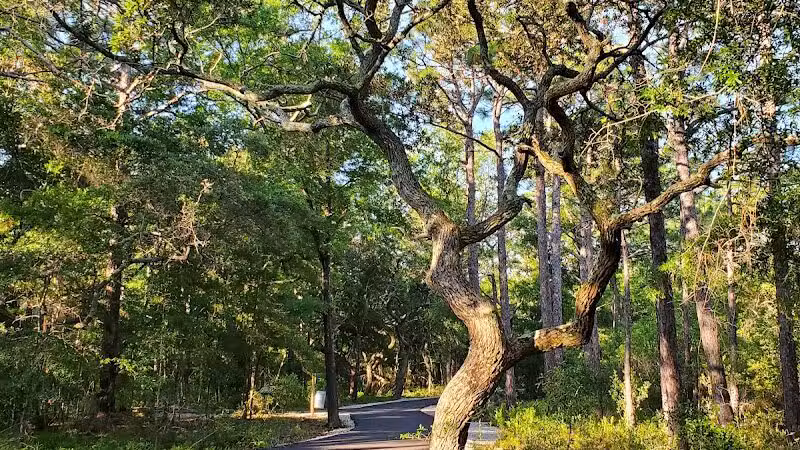 Hanover Pines Nature Park - Wilmington, NC