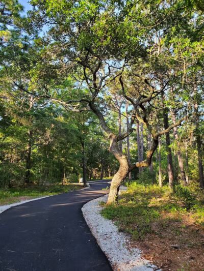 Hanover Pines Nature Park - Wilmington, NC