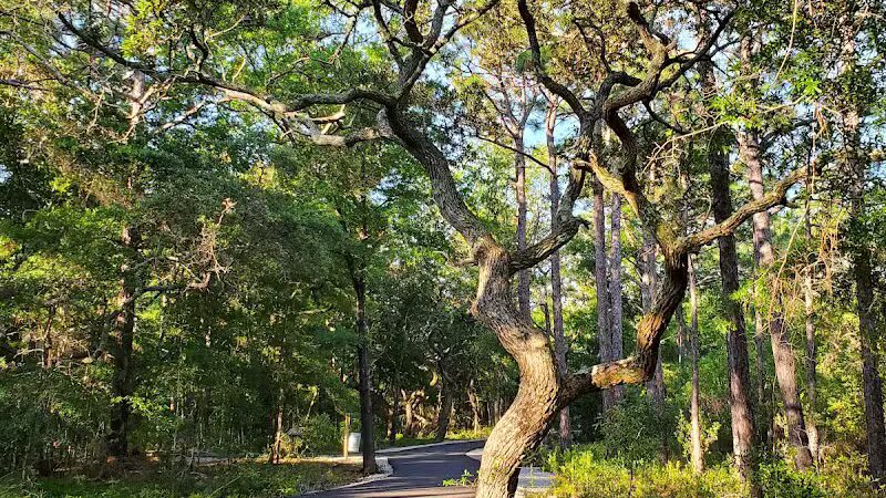 Hanover Pines Nature Park - Wilmington, NC