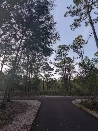 Hanover Pines Nature Park - Wilmington, NC