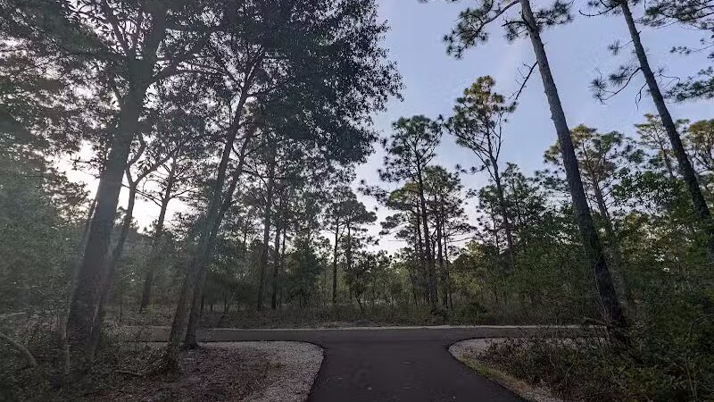 Hanover Pines Nature Park - Wilmington, NC