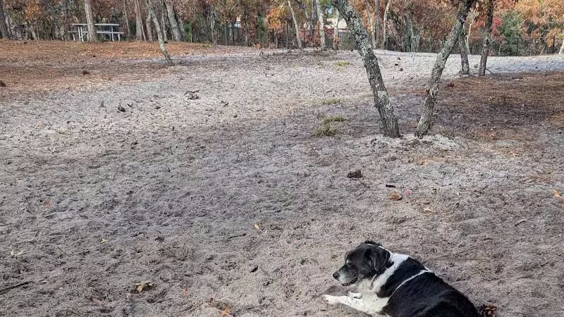Hanover Pines Nature Park - Wilmington, NC