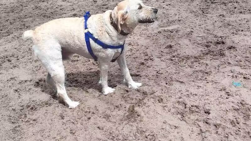 Long Leaf Dog Park - Wilmington, NC