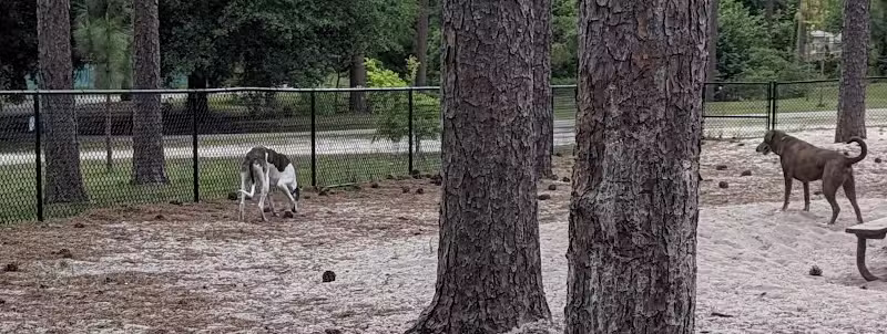 Long Leaf Dog Park - Wilmington, NC