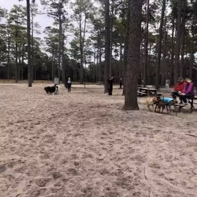 Long Leaf Park - Wilmington, NC