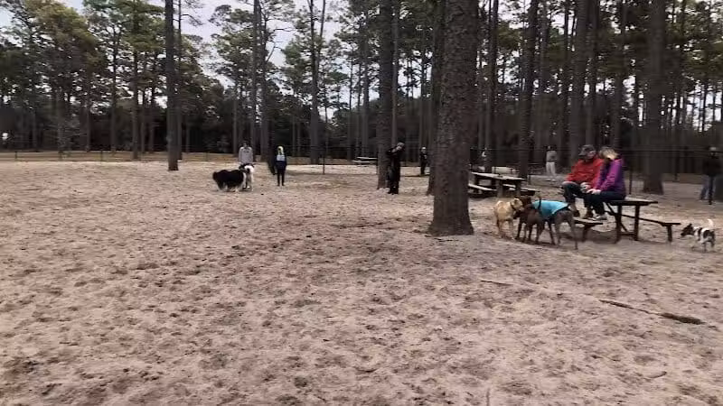 Long Leaf Park - Wilmington, NC