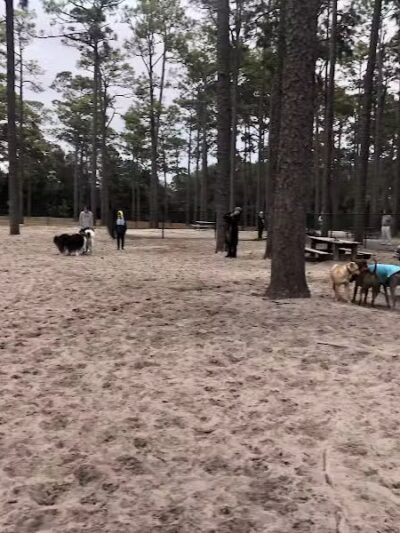 Long Leaf Park - Wilmington, NC