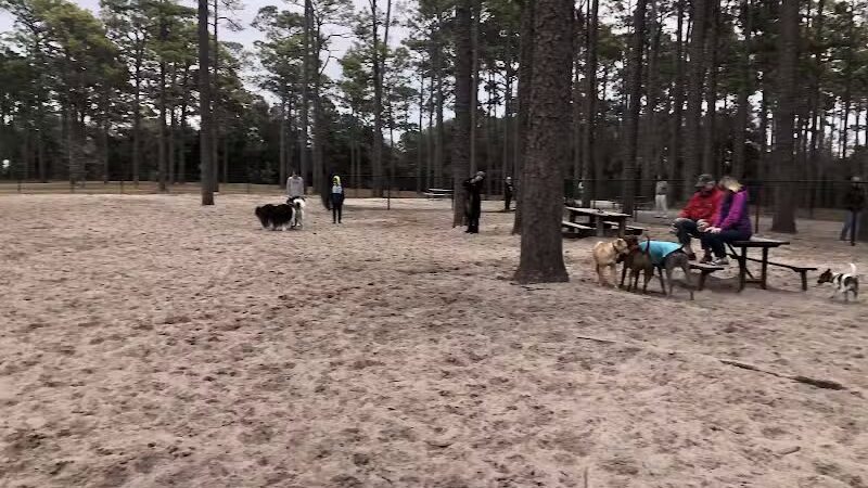 Long Leaf Park - Wilmington, NC