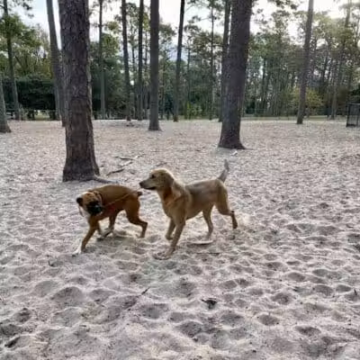 Long Leaf Park - Wilmington, NC