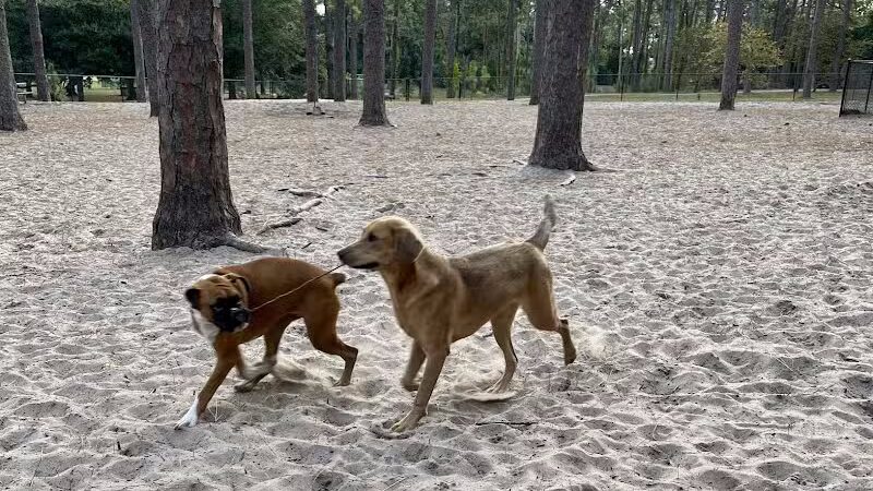 Long Leaf Park - Wilmington, NC