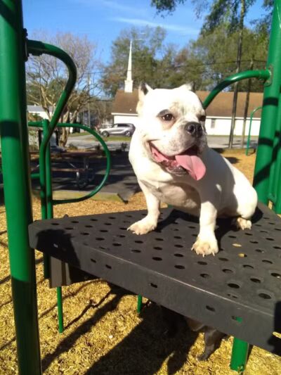 Marstella Park - Wilmington, NC