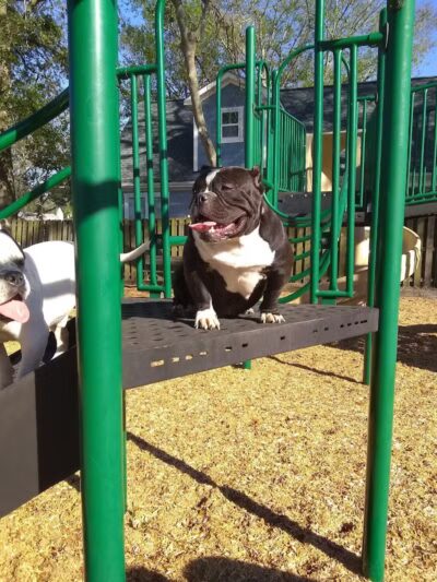 Marstella Park - Wilmington, NC