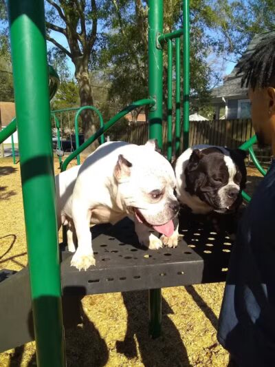 Marstella Park - Wilmington, NC