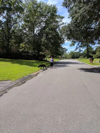 Nature's Walk - Wilmington, NC