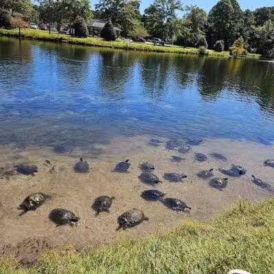 Ogden Park - Wilmington, NC