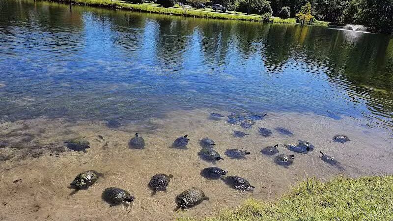 Ogden Park - Wilmington, NC