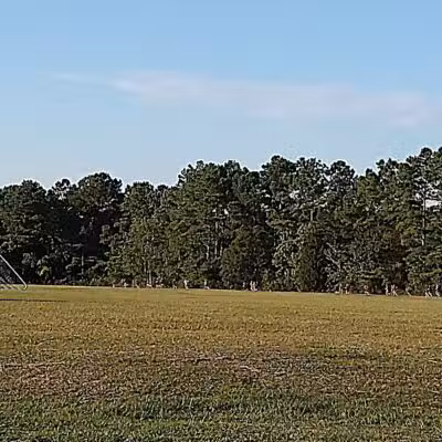 Olsen Park - Wilmington, NC