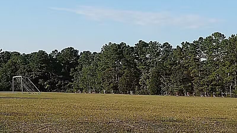 Olsen Park - Wilmington, NC