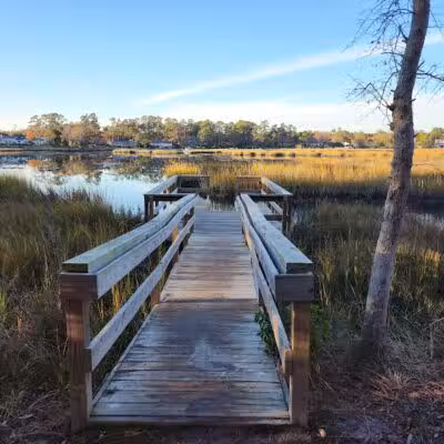 Pages Creek Park Preserve - Wilmington, NC