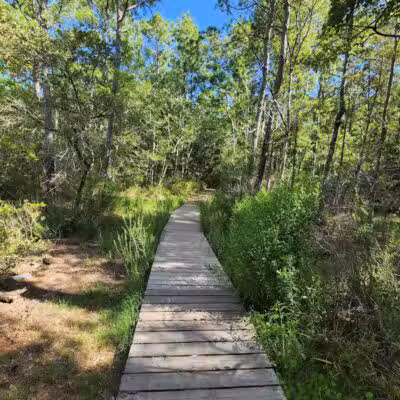 Pages Creek Park Preserve - Wilmington, NC