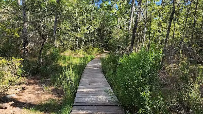 Pages Creek Park Preserve - Wilmington, NC