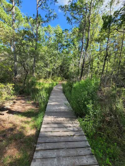 Pages Creek Park Preserve - Wilmington, NC