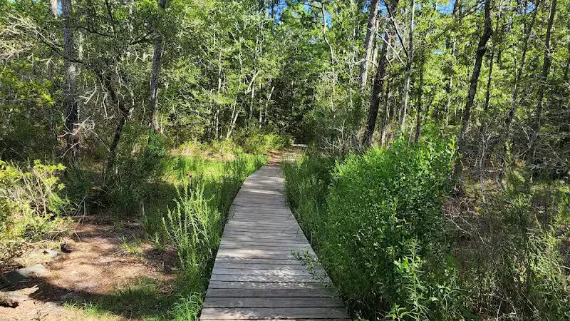 Pages Creek Park Preserve - Wilmington, NC