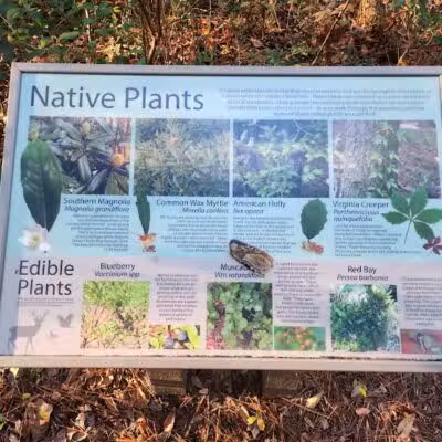Pages Creek Park Preserve - Wilmington, NC