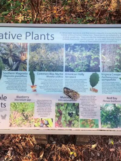 Pages Creek Park Preserve - Wilmington, NC