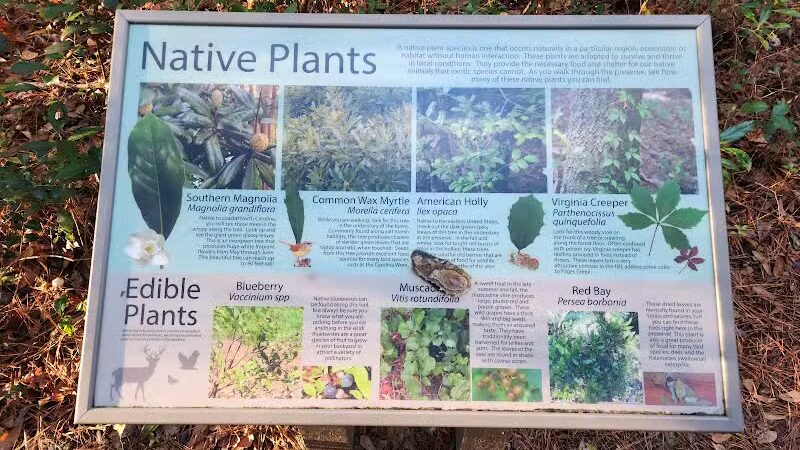 Pages Creek Park Preserve - Wilmington, NC