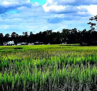 Pages Creek Park Preserve - Wilmington, NC