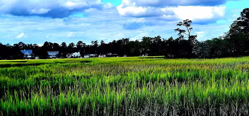 Pages Creek Park Preserve - Wilmington, NC