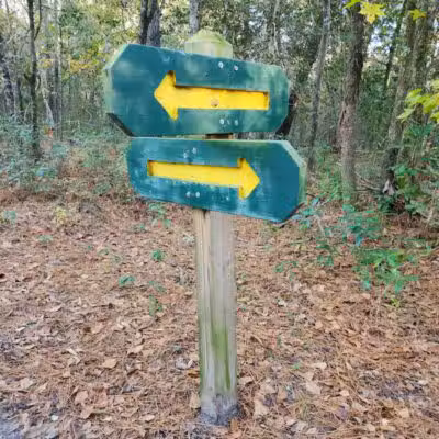 Pages Creek Park Preserve - Wilmington, NC