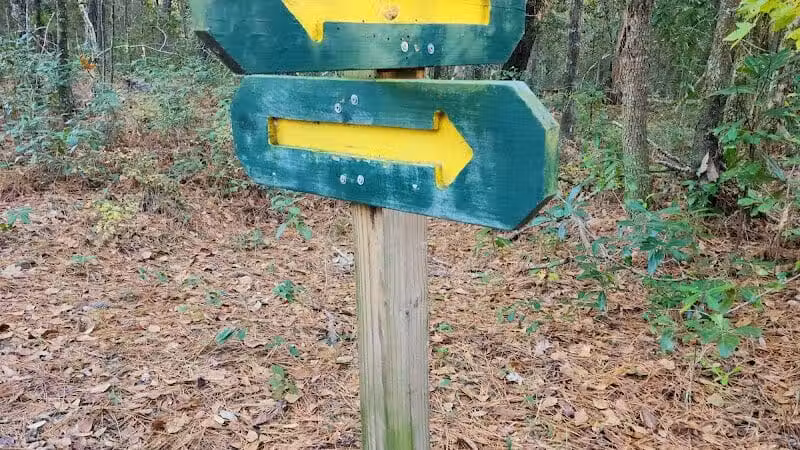 Pages Creek Park Preserve - Wilmington, NC