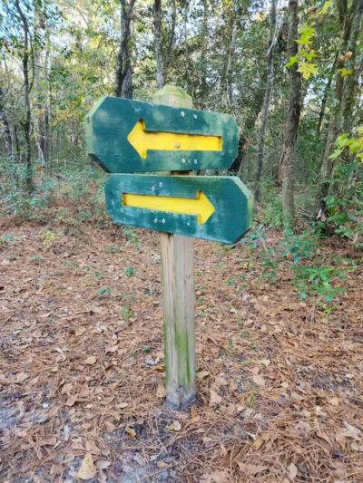 Pages Creek Park Preserve - Wilmington, NC