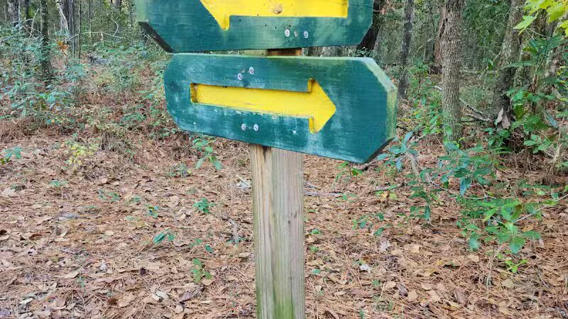 Pages Creek Park Preserve - Wilmington, NC