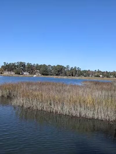 Pages Creek Park Preserve - Wilmington, NC