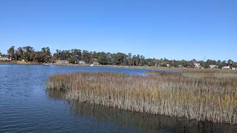 Pages Creek Park Preserve - Wilmington, NC