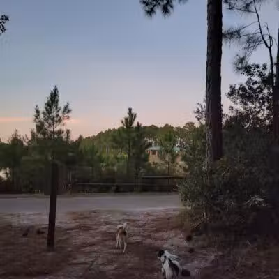 Park Preserve Trail - Wilmington, NC