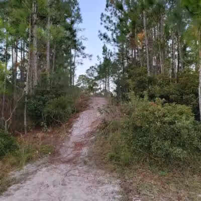 Park Preserve Trail - Wilmington, NC