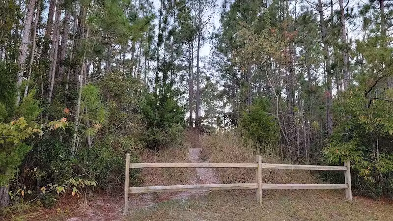 Park Preserve Trail - Wilmington, NC