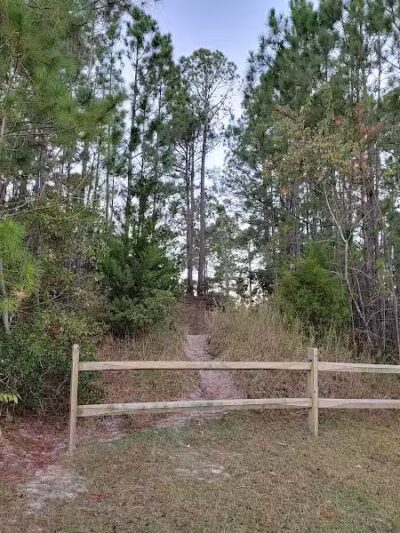 Park Preserve Trail - Wilmington, NC