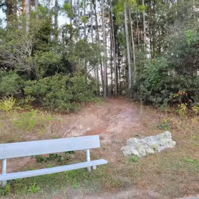 Park Preserve Trail - Wilmington, NC