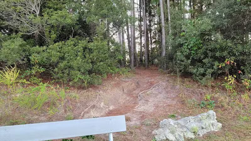 Park Preserve Trail - Wilmington, NC