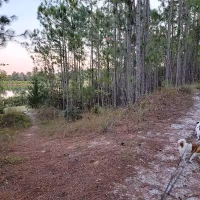 Park Preserve Trail - Wilmington, NC