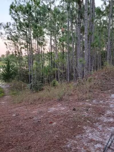 Park Preserve Trail - Wilmington, NC