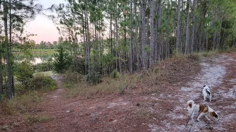 Park Preserve Trail - Wilmington, NC
