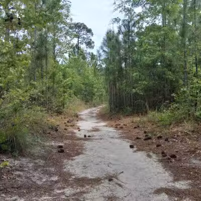 Park Preserve Trail - Wilmington, NC